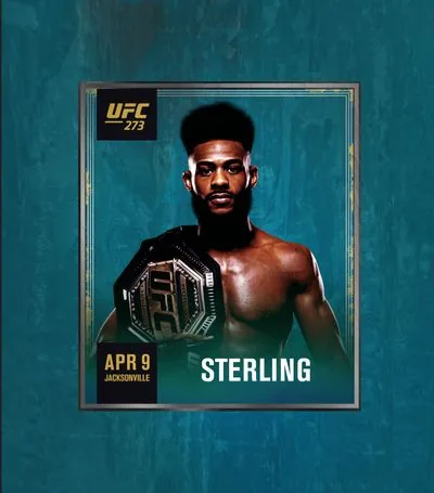 UFC NFT